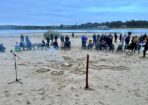 naidoc_487507_02