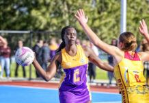 Lions inflict Tigers’ first loss