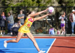 netball_489438_07