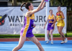netball_489438_08