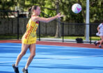 netball_489438_09