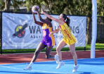 netball_489438_22