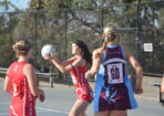 ognetball_488461_02