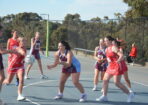 ognetball_488461_20