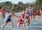 ognetball_488461_21