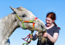 Gallop of support needed