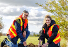 Planting a greener Lara