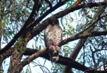 Soon it will be spring