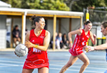 Grove too good for Coutas