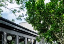 Passion and precision