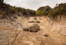 Employment opportunities for drought-affected workers