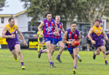 Panthers win battle of the big cats