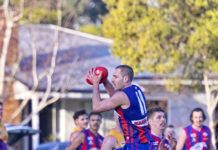 Panthers firing at the right time