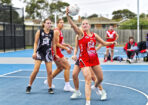 gdnlnetbal_493582_05-1