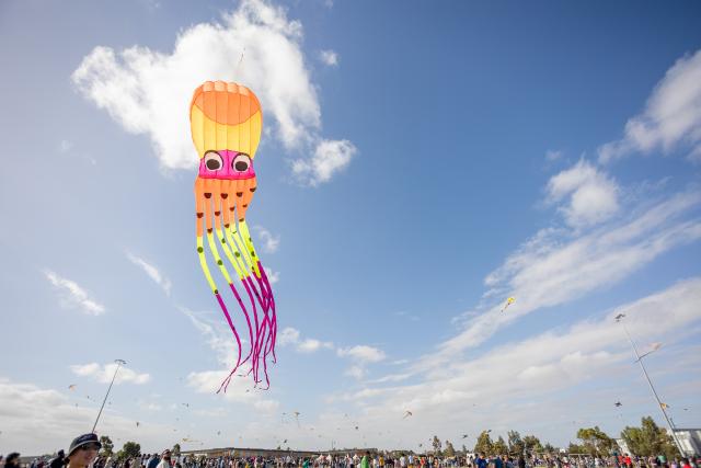 KiteFest_315927_02