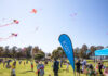 Fly a kite for kids with disabilities
