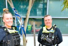 Honouring those who serve