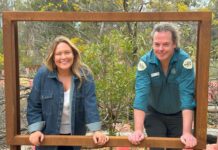 Serendip’s sensory experience