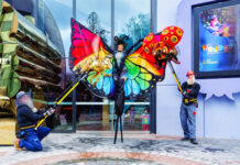 Bringing wonder to Geelong