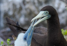 Getaway at Jervis Bay