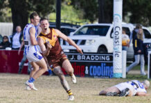 A tie in Ash Medal count