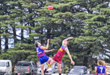 Panthers send Lions out of finals