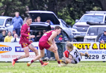Pies fly high for flag glory