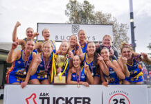 Belmont Lions overcome adversity to win premiership