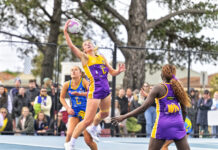 Lions roar on big stage