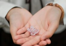 Safe space for suicide prevention