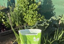 Council compost giveaway