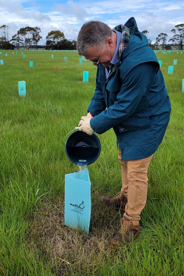 Planting_508584_01