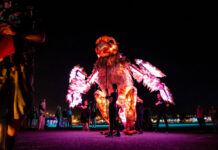 Victoria’s newest arts event arrives