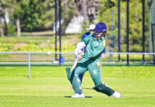 Wallabies sound ominous warning