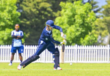 Seagulls perched nicely at the top