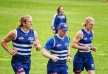 Blues shut down Geelong’s trade advance for Curnow