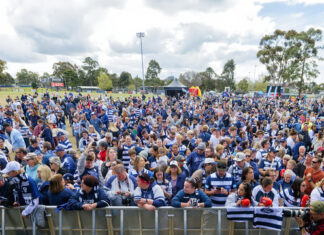 Cats fined, but cleared of salary cap breaches