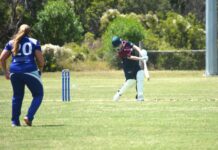 Law stuns with superb ton