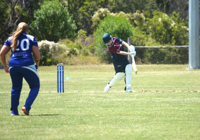 cricket_441405_02