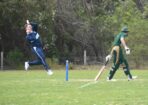 cricket_509768_02