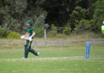 cricket_509768_12