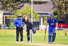 Plenty of contributors for Pies