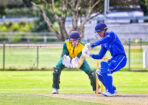 gcacricket_508539_05