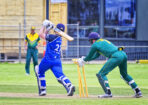 gcacricket_508539_10