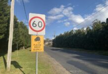 Extra signs for wildife