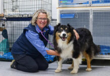 Alicia keeps striving for a kinder world