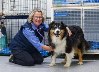 Alicia keeps striving for a kinder world