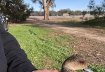 Research takes flight