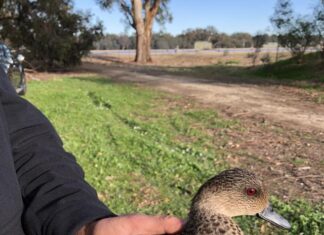 Research takes flight