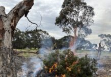 Big fines for illegal dump and burn